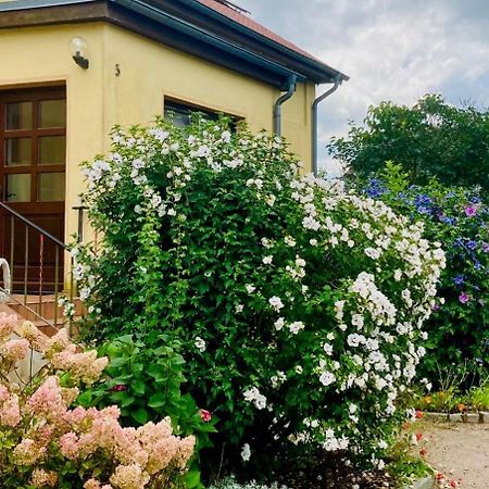 Ferienwohnung Heiligenhagen Satow Esterno foto